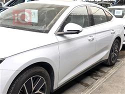 بي واي دي كوين L DM-i